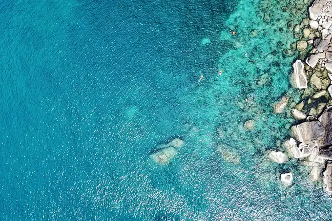 Snorkel en aguas cristalinas de Koh Tao